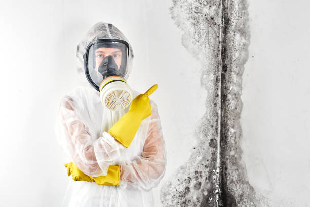 Asbestos and Lead Testing During Mold Inspection in Old Hill, CT